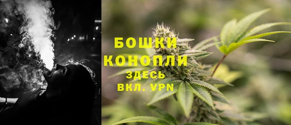 гидра Нефтегорск