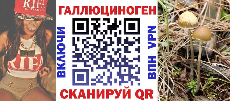 Галлюциногенные грибы прущие грибы  Купить  Анадырь 
